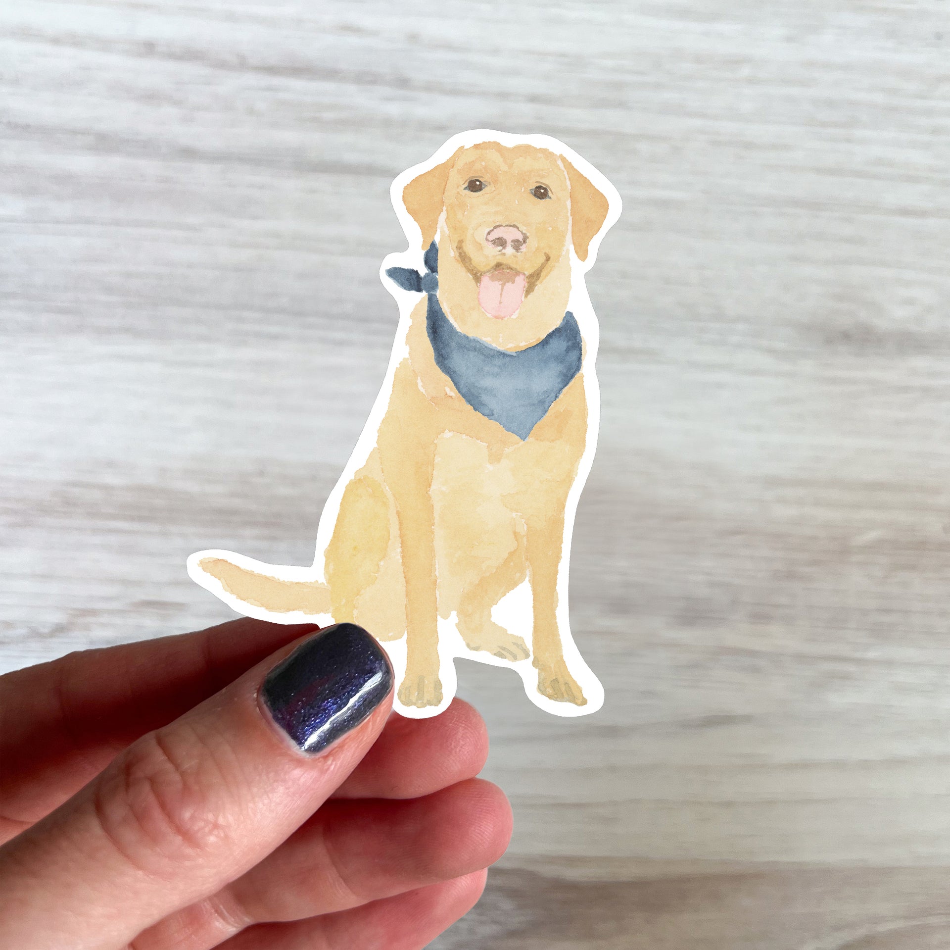 Watercolor Yellow Lab Sticker by Gert & Co